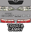 Camry Graphics