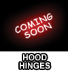 Hood Hinges